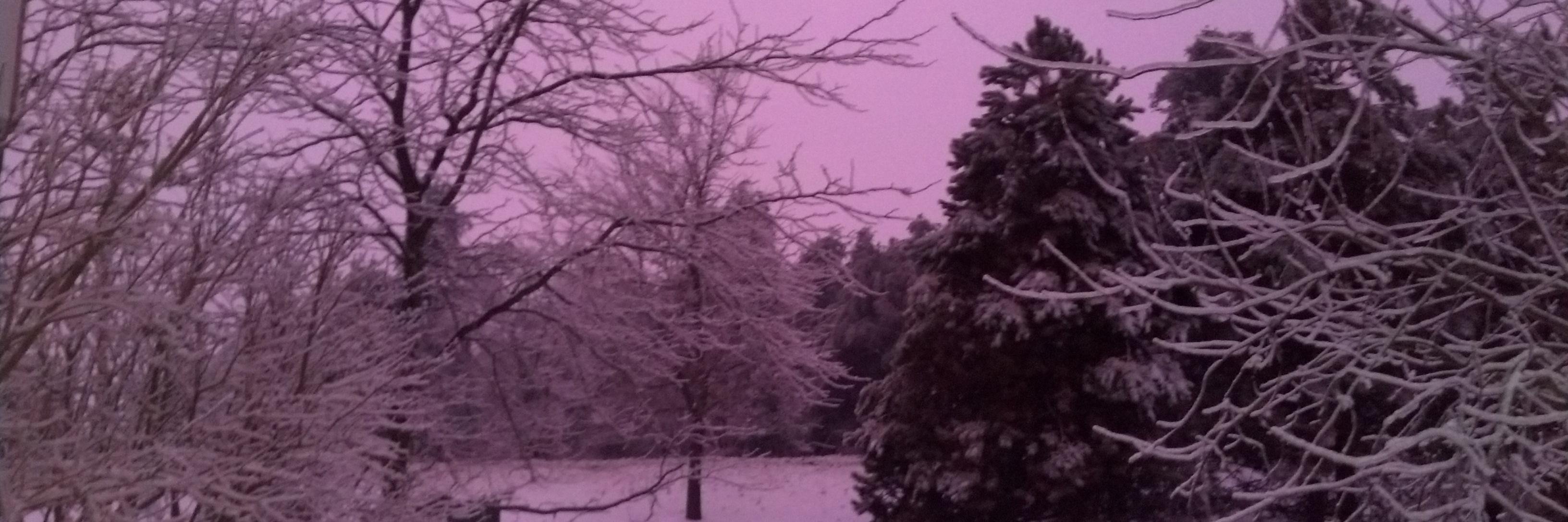 Melissa Pierce banner