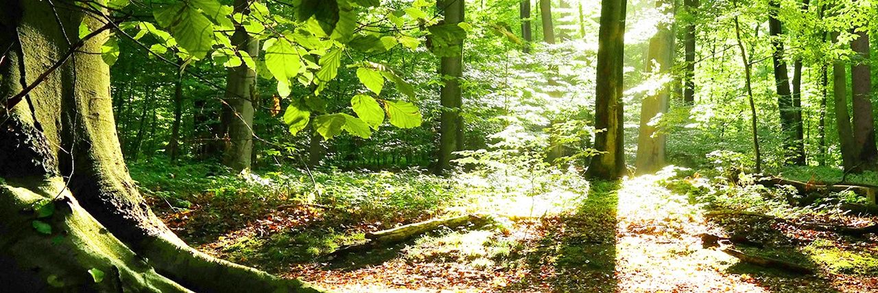 etik_maya's profile banner image