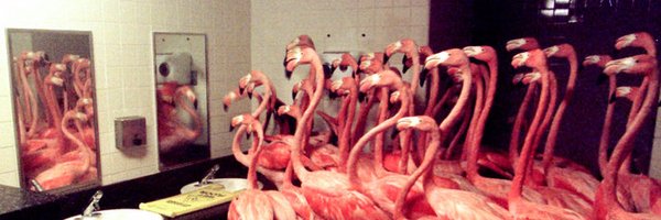 whitneystreed Profile Banner