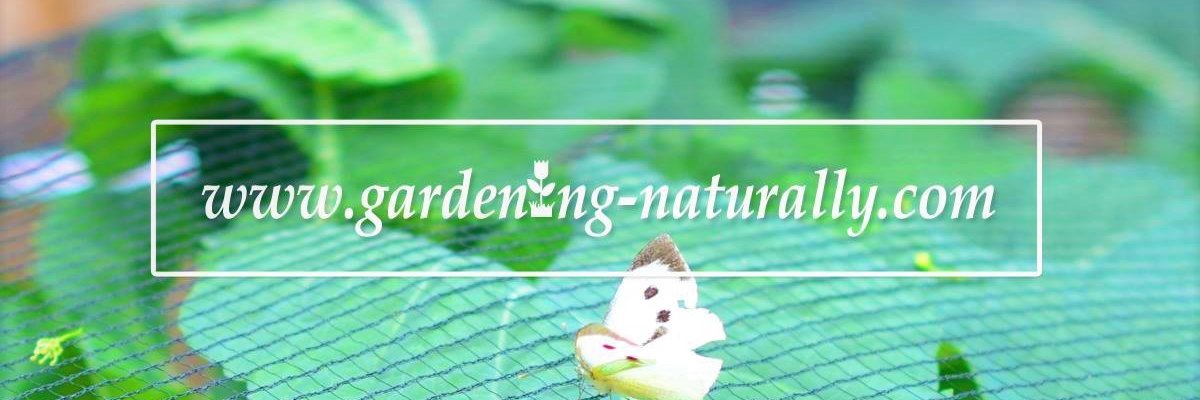 GardenNaturally's profile banner image