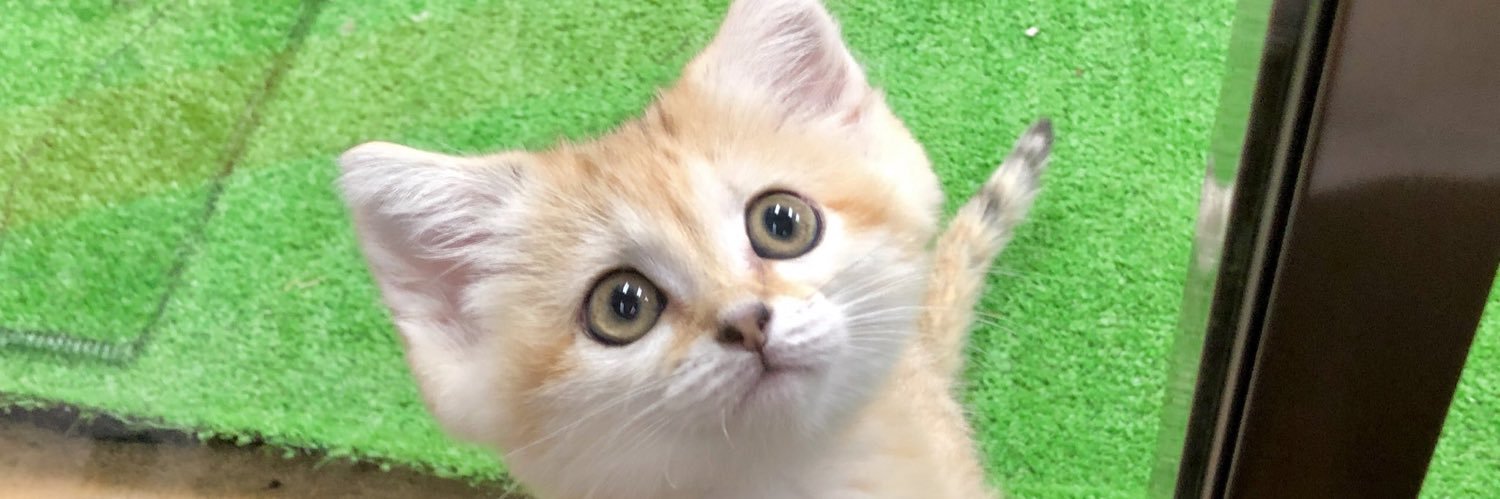 karrusan's profile banner image