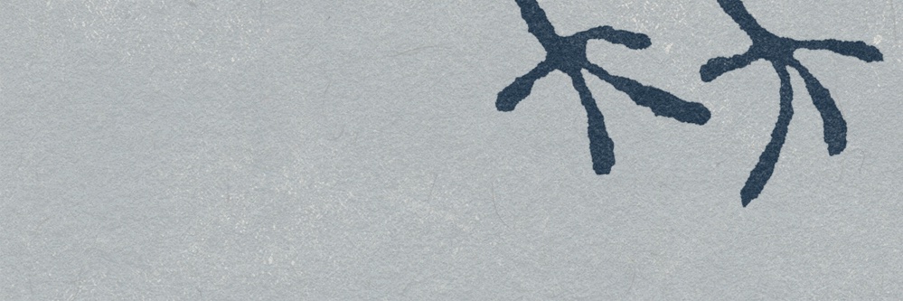 Noisiboi banner