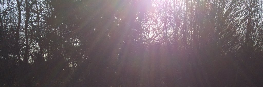 Laura Wilkes banner