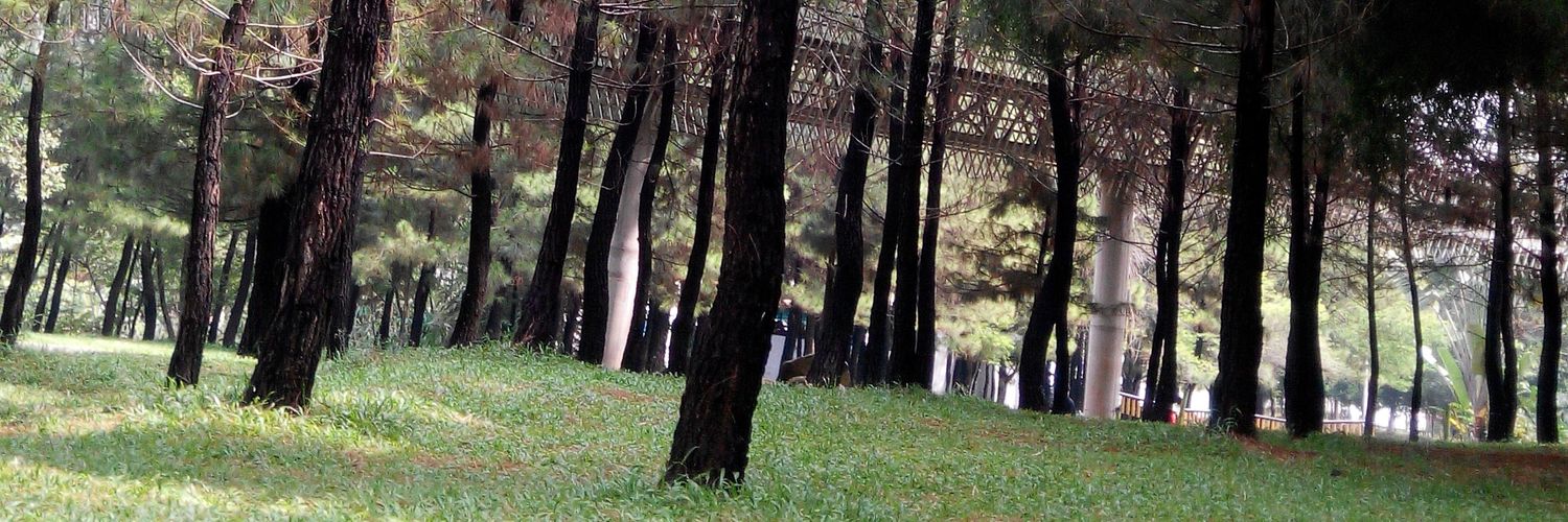 BOGORBERSATU's profile banner image