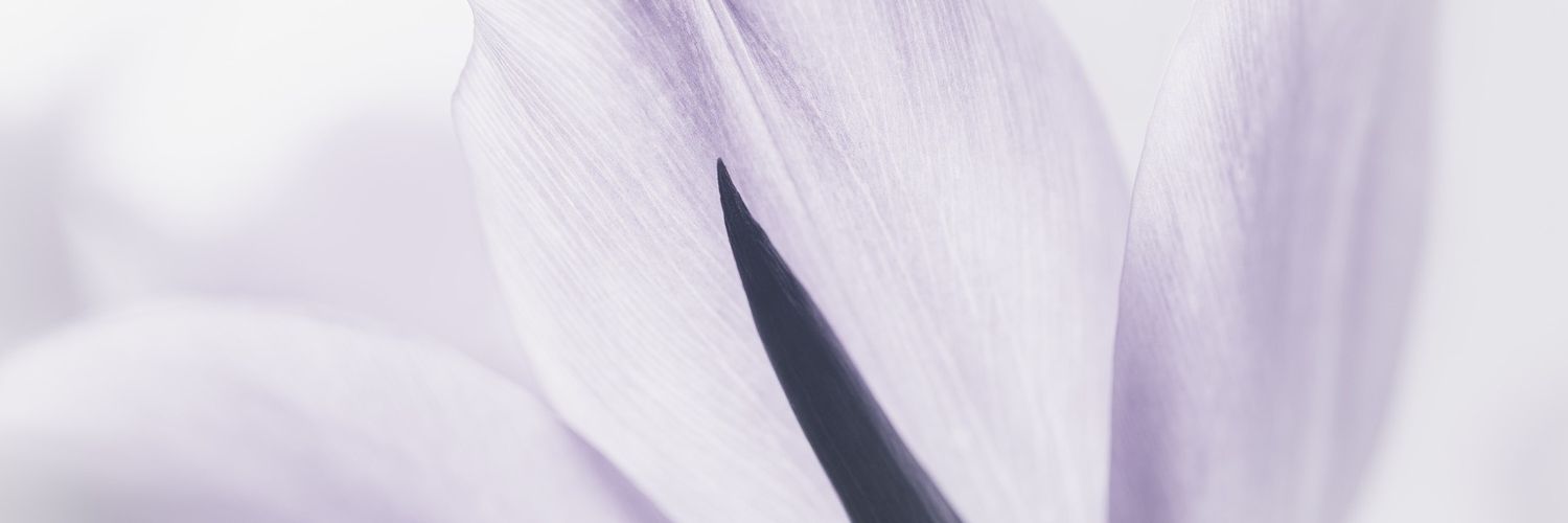 MissWebmiss's profile banner image