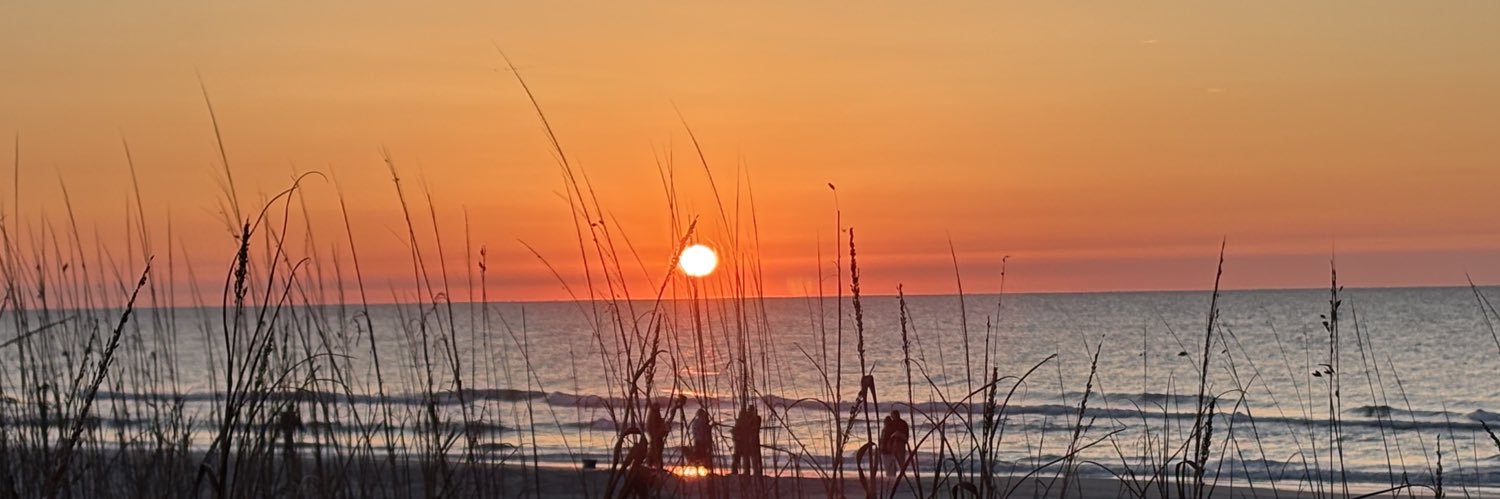 Lisa Pace, LMT banner