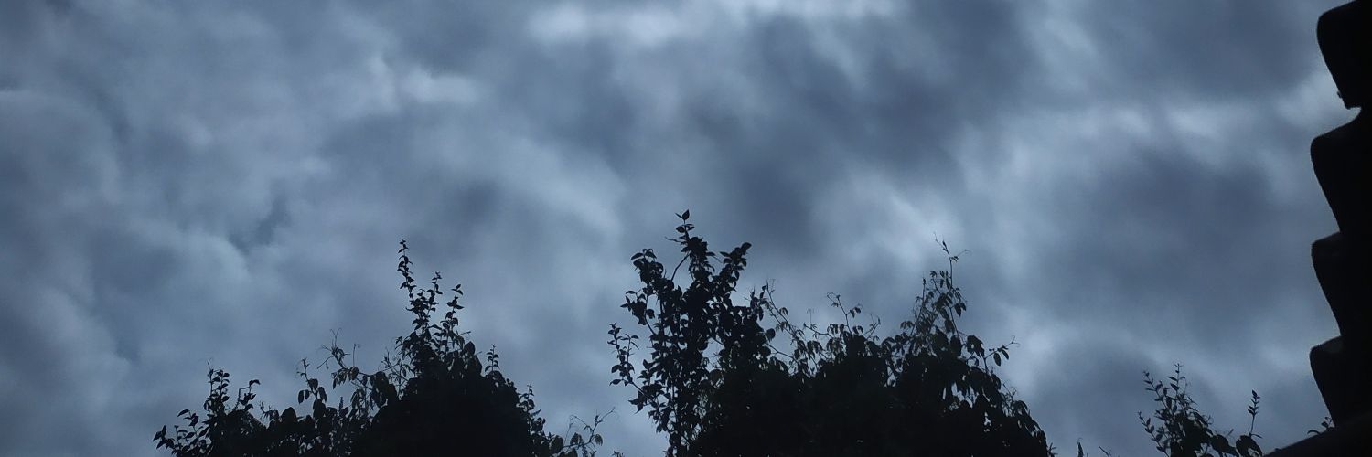 AlexandraRCG's profile banner image
