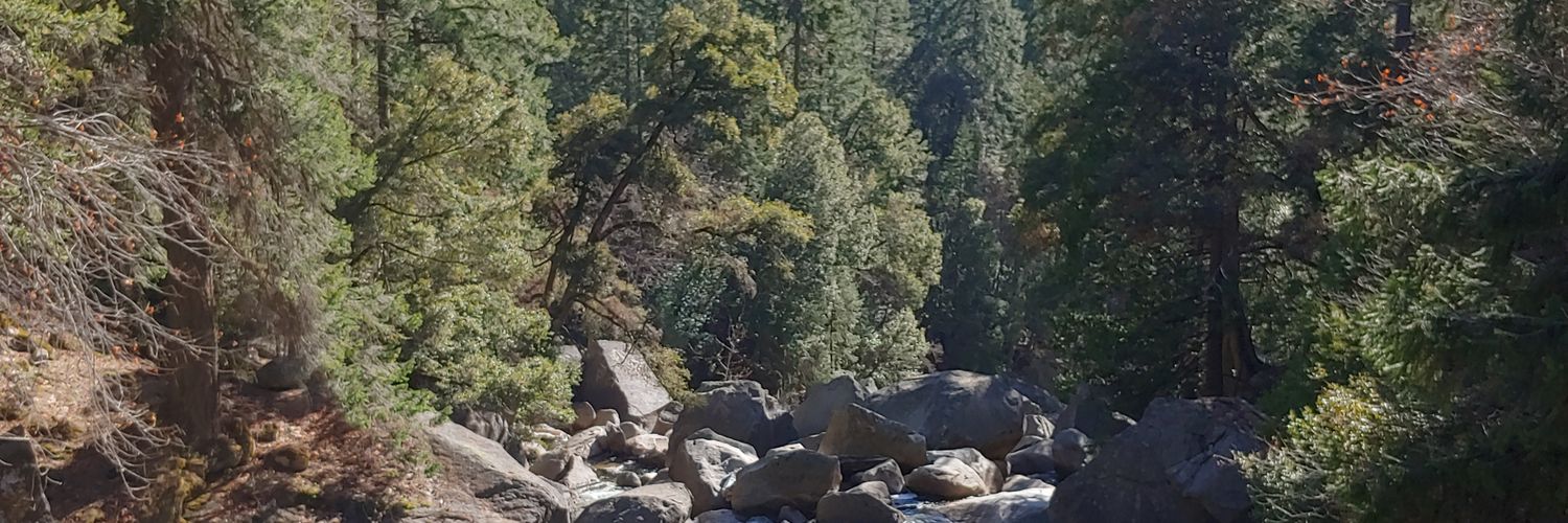 IrishTaterGirl's profile banner image