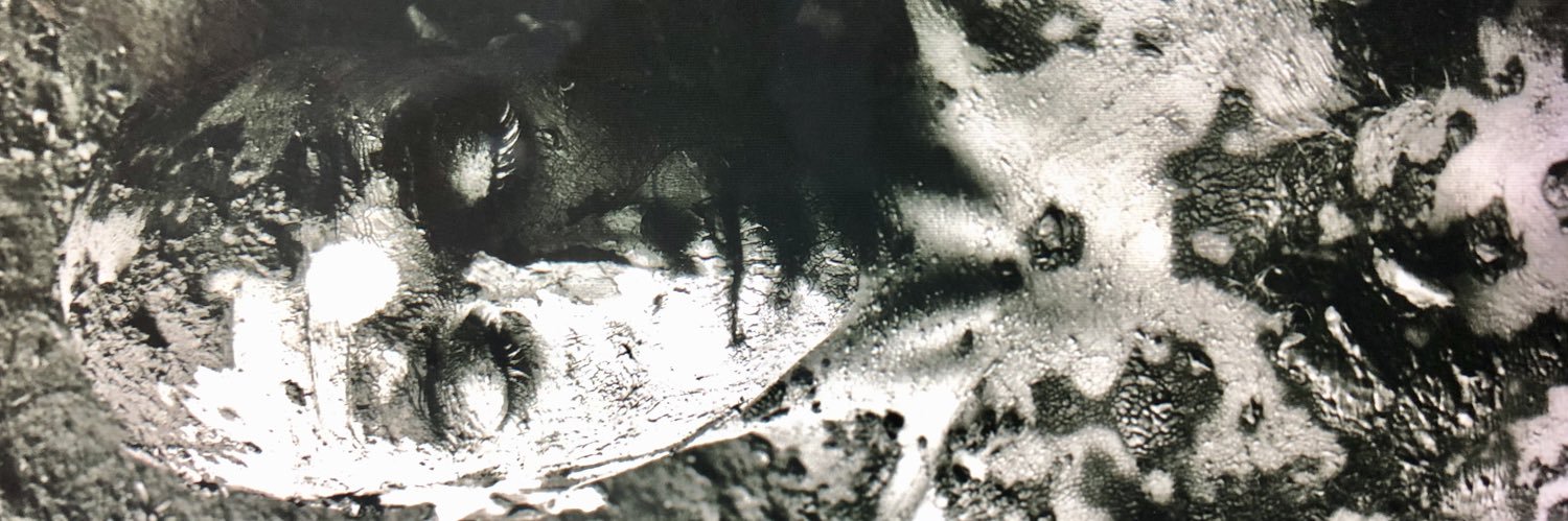 perikiyo's profile banner image