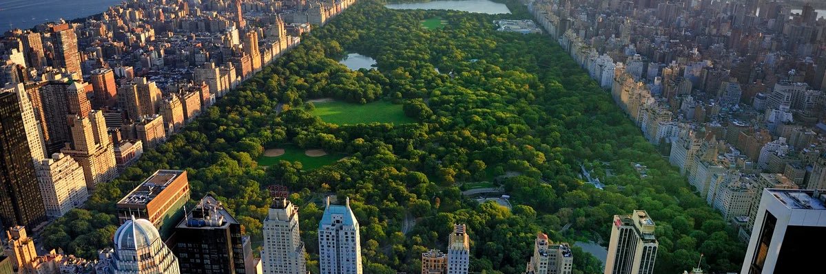 Tim McNicholas banner