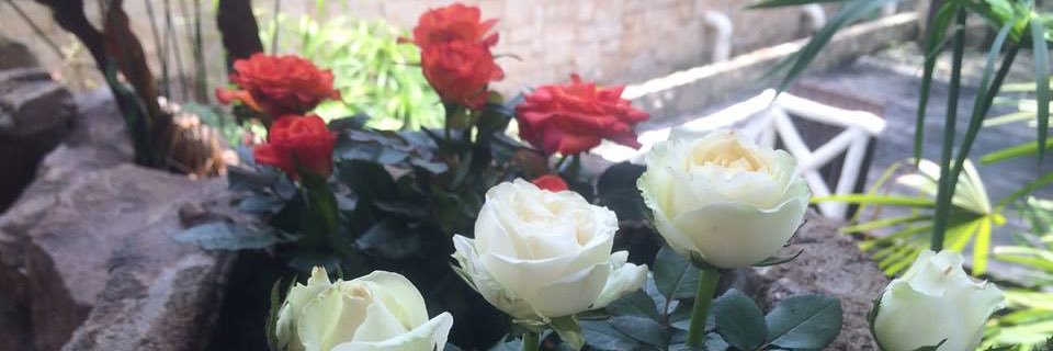 adelena_lestari's profile banner image