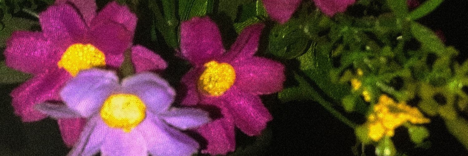 wibi_low's profile banner image