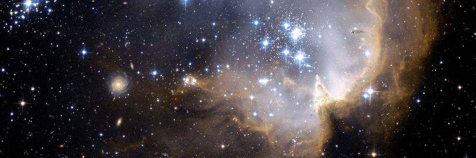 Alvinamlia's profile banner image