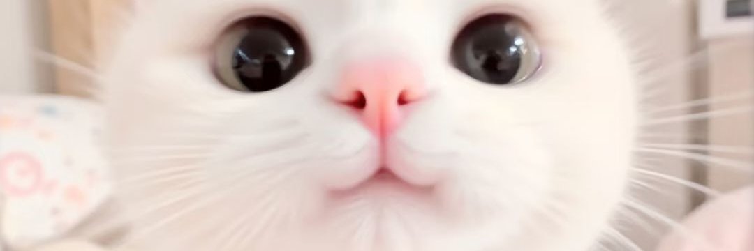mirela_san's profile banner image