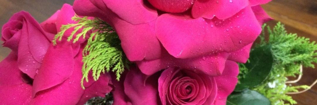 dede_morais's profile banner image