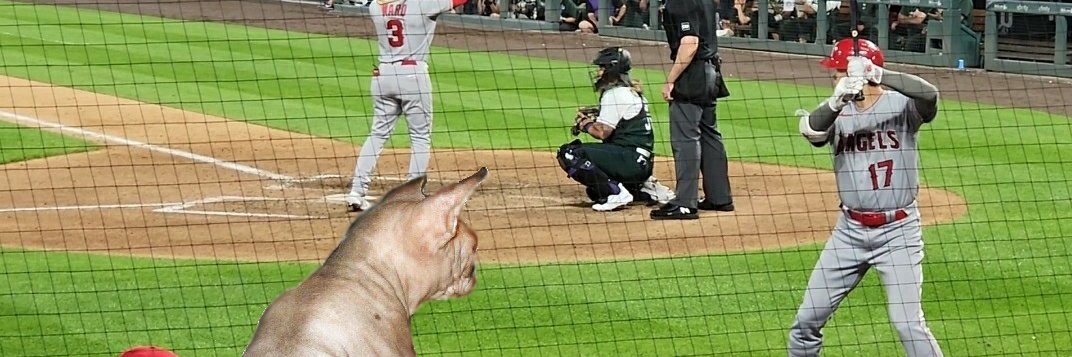 Yogi The prejident banner