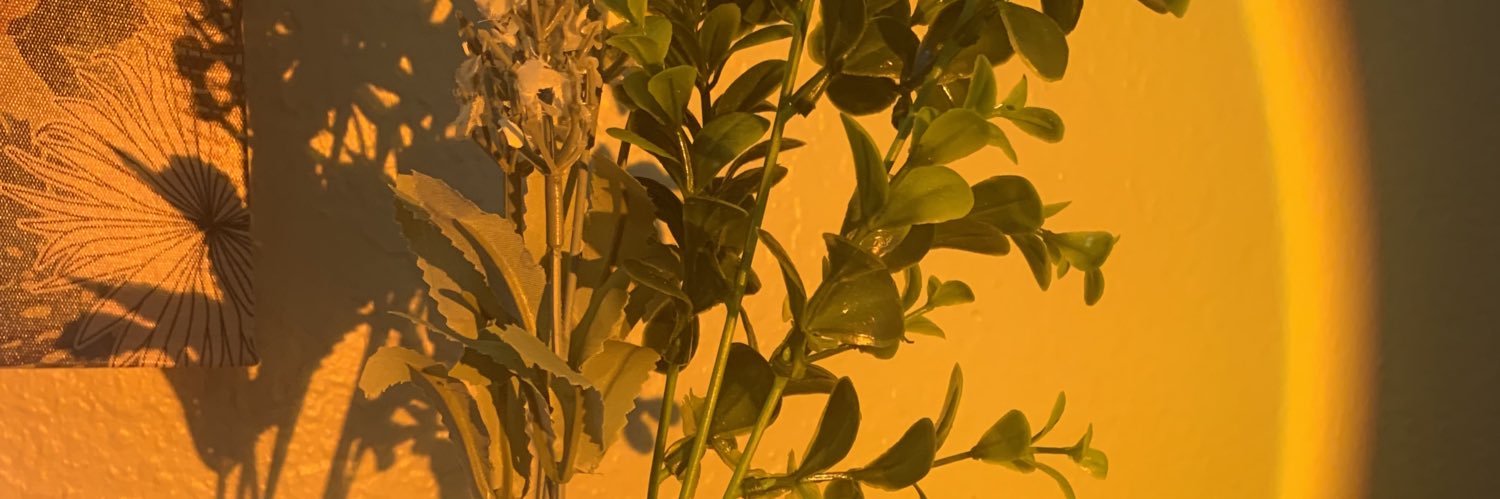 monicaluhar's profile banner image