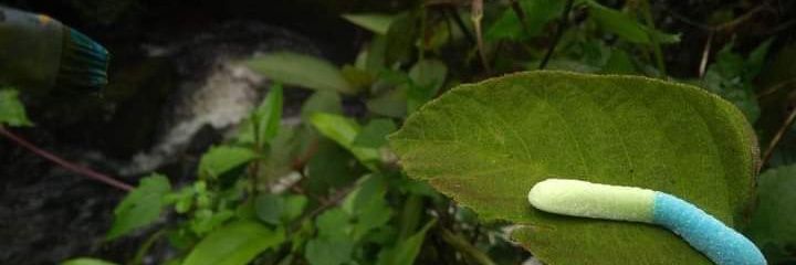 JuanBlancoo's profile banner image