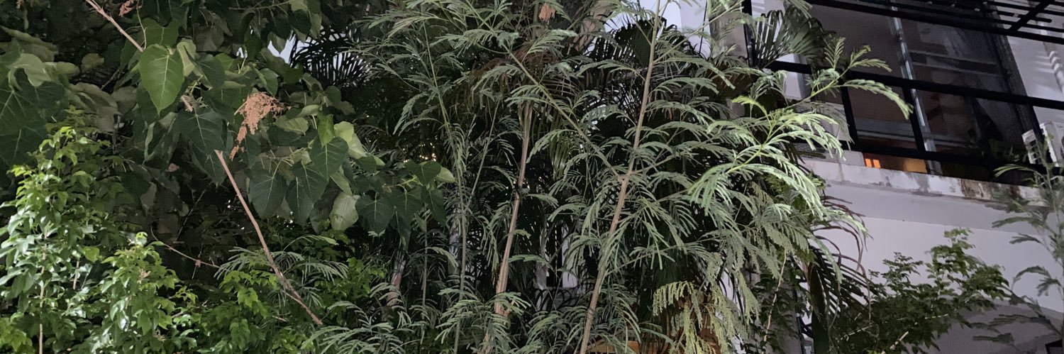 fan bb🖤❤️🇹🇭 banner