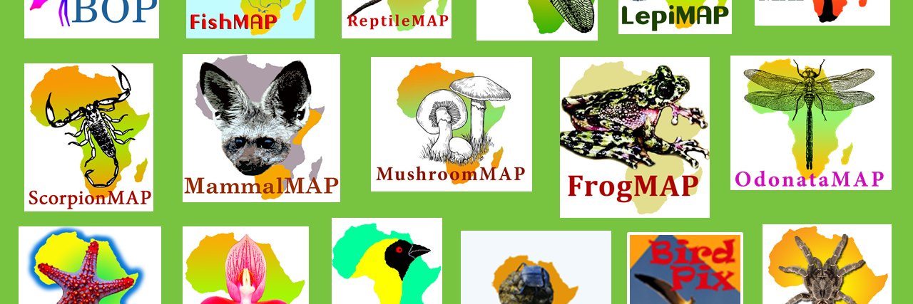 Biodiversity & Development Institute banner