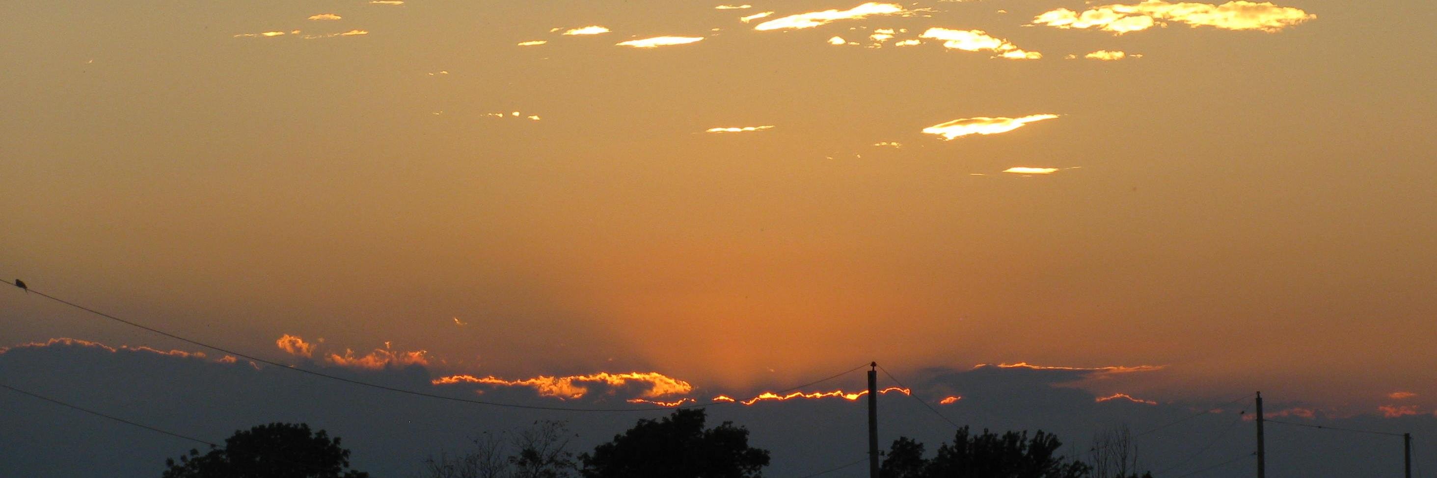 veda70's profile banner image