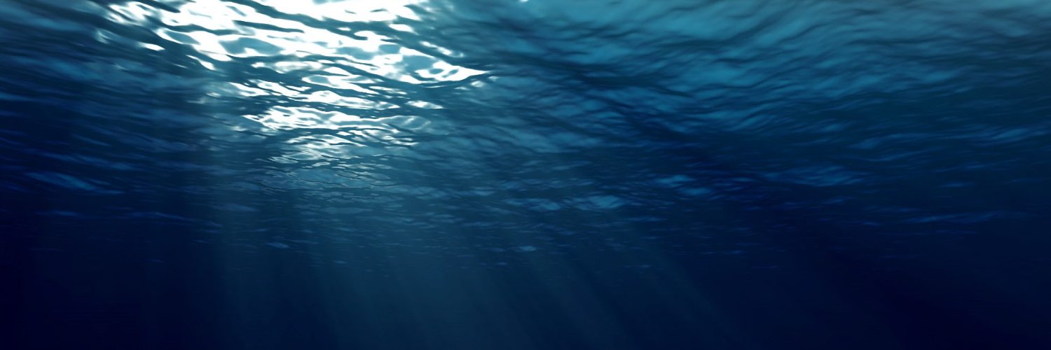 BECocean's profile banner image