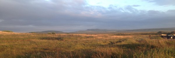 Boittyboo Profile Banner