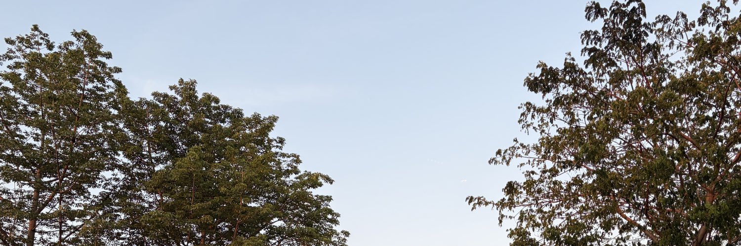 Jo banner