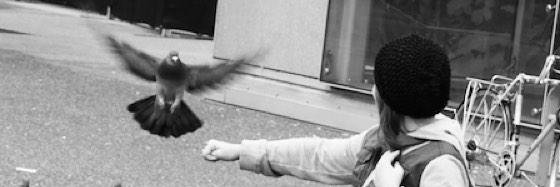 Jordan_gordon's profile banner image