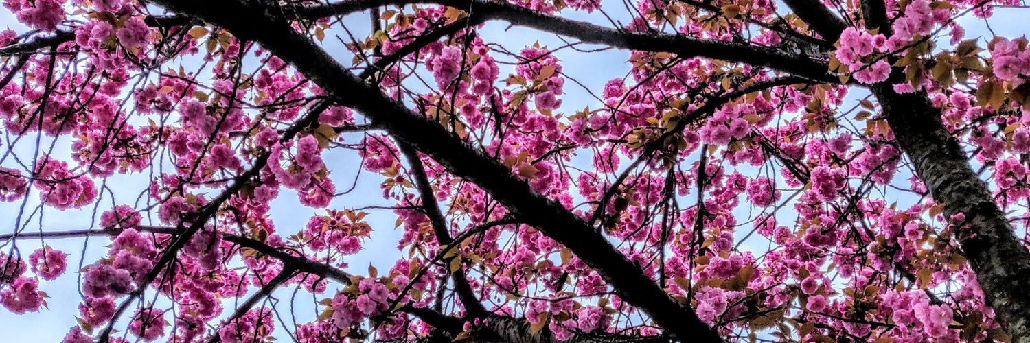 marinavazkim's profile banner image