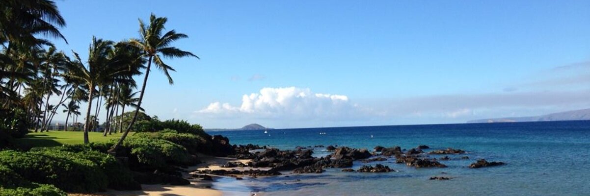 JulesGalvin's profile banner image
