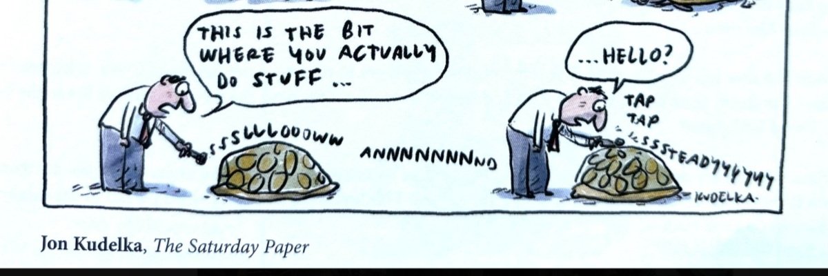 💧Anchinya the vaccinated water spider banner