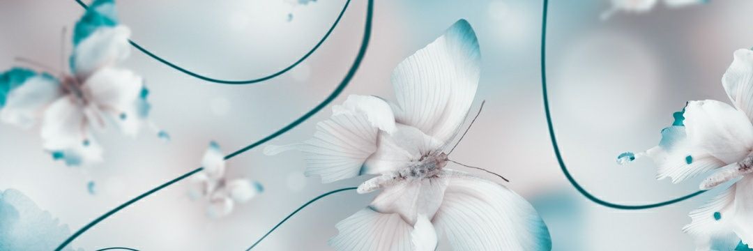 LindaBee69's profile banner image