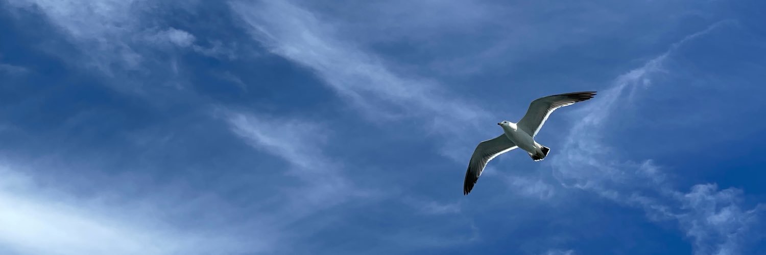 skybytee's profile banner image