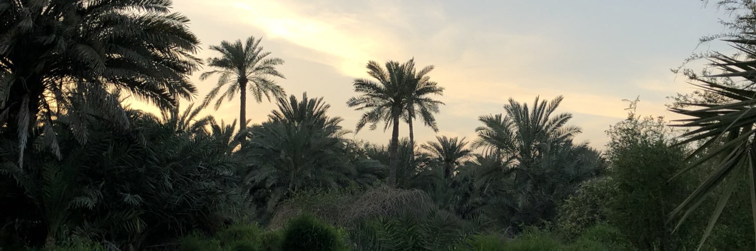 Wafa وفاء banner