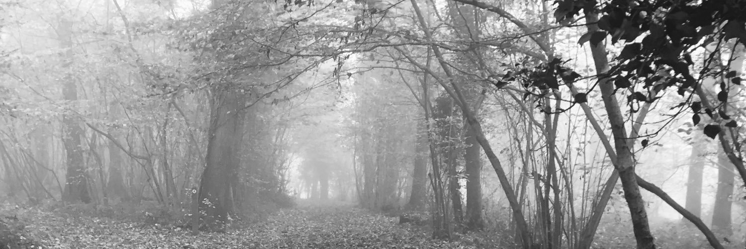 Alice_Ralph's profile banner image