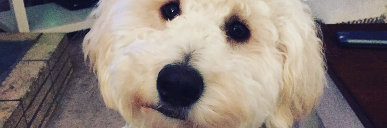 Brendan Rickert banner