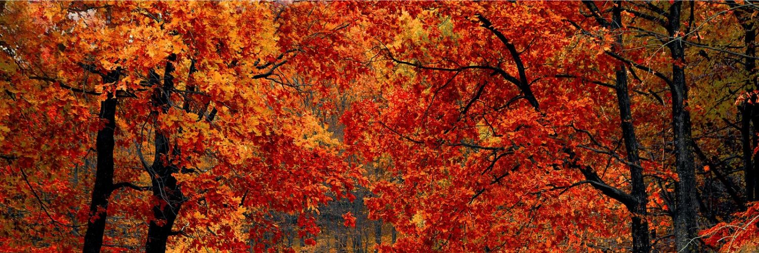 KylieColours's profile banner image