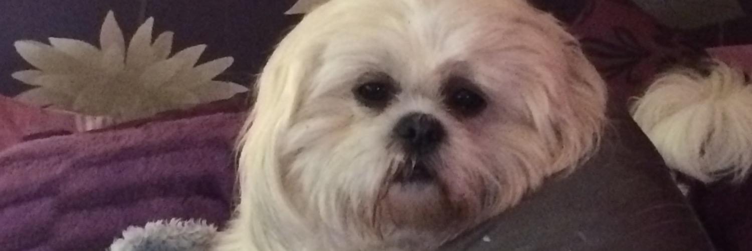Emzie1608's profile banner image