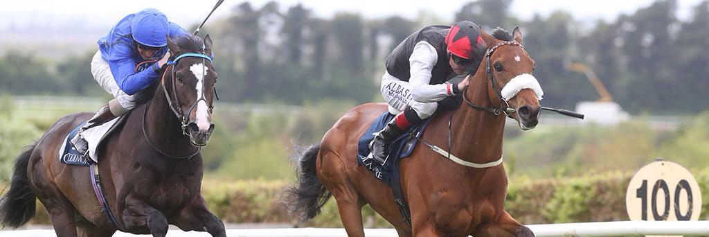 Barry Dempsey banner