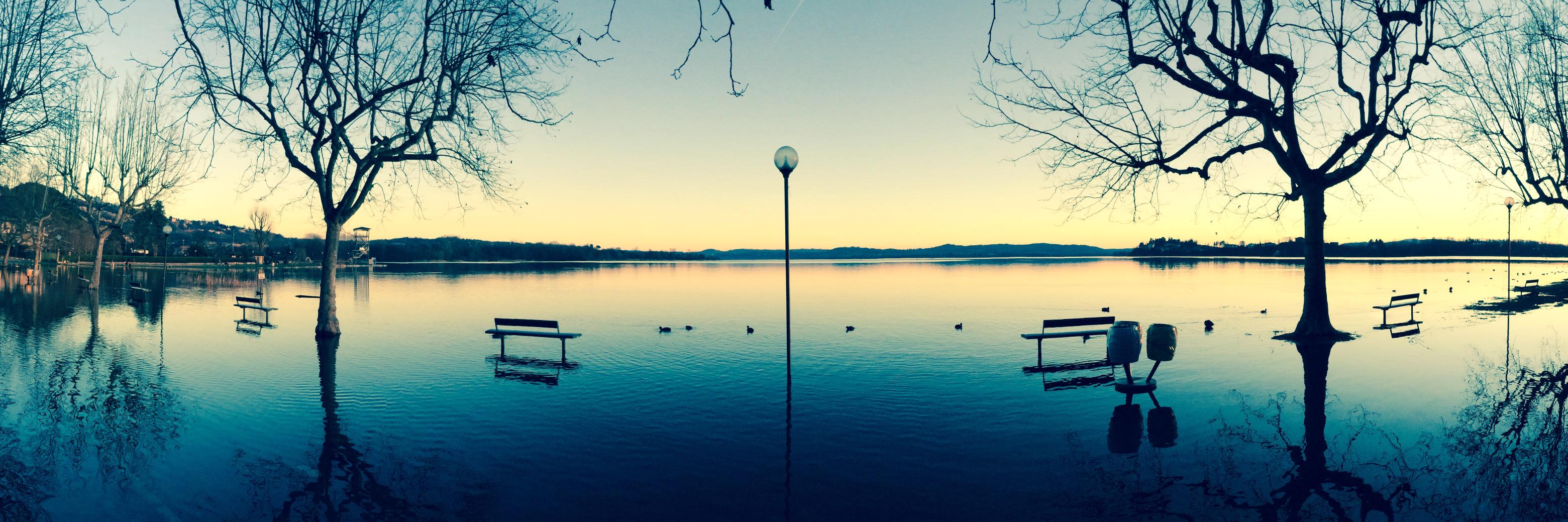 Flavio Dell'Acqua's banner
