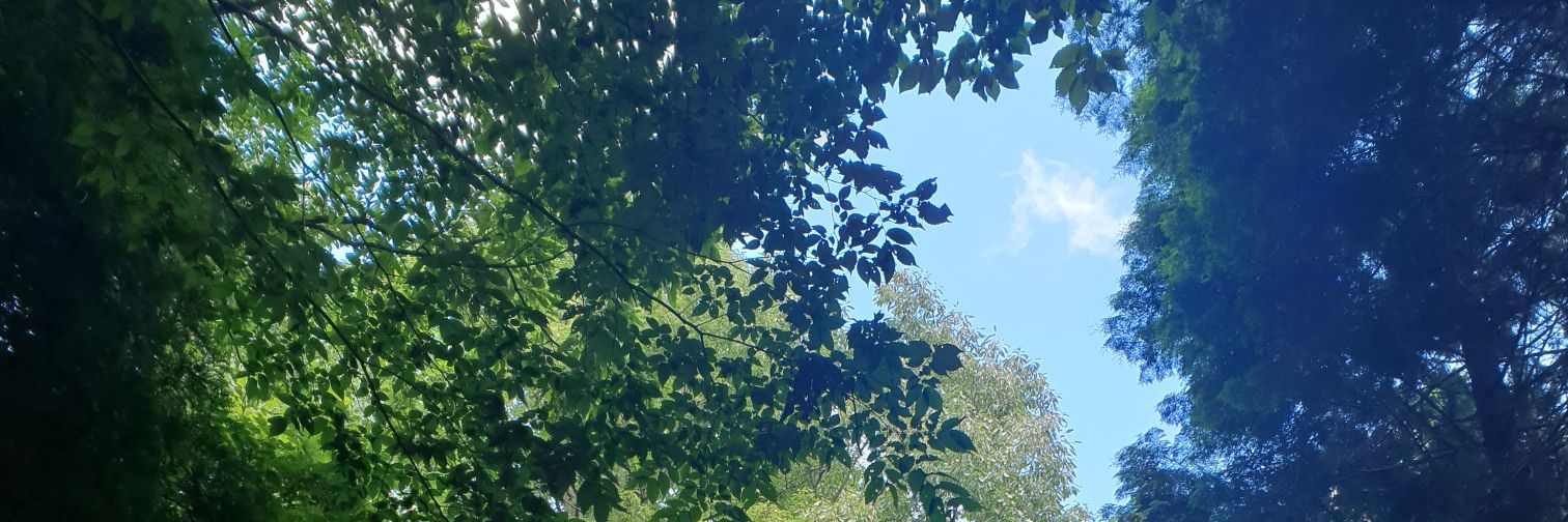 newmind1985's profile banner image