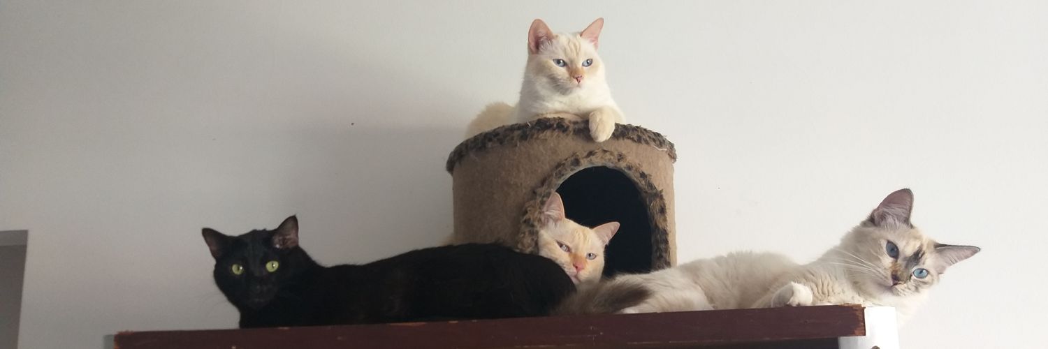natbehappy's profile banner image