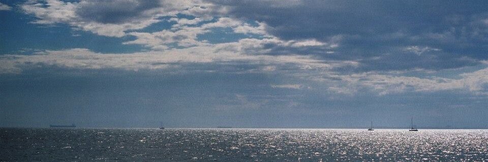 Margot Lloyd banner