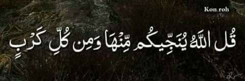 ali85105490's profile banner image