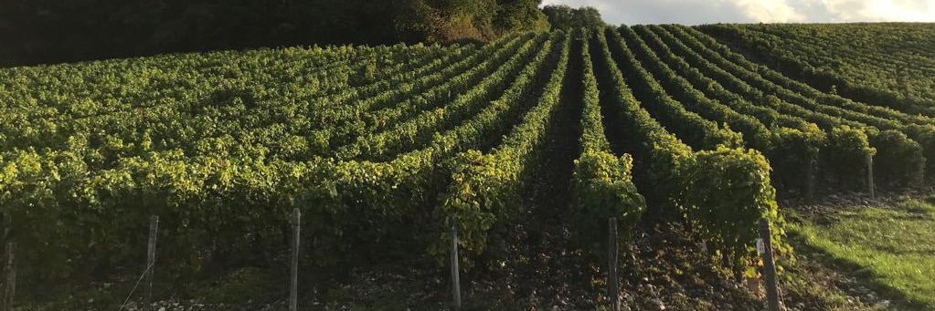 VcMatv's profile banner image