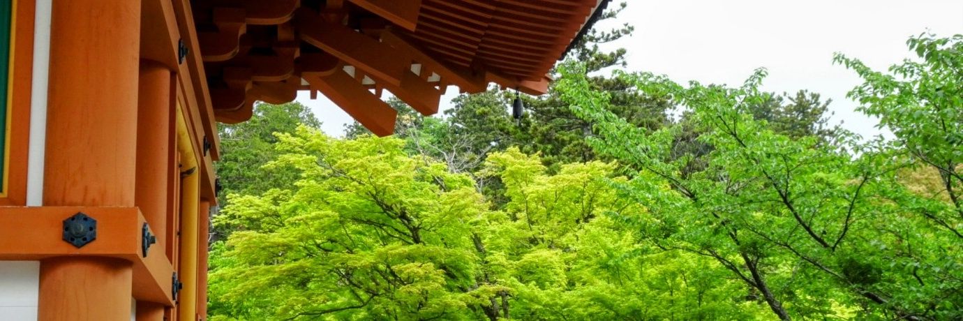 Shallow field banner