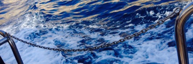 lieriSV's profile banner image