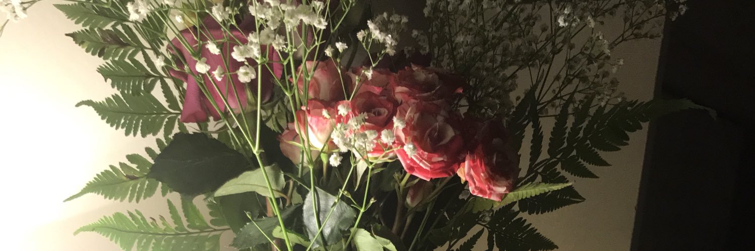 moza_masoud's profile banner image