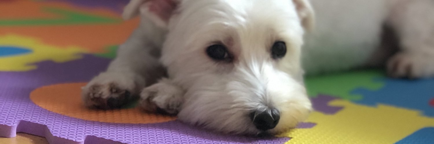 _jolieex's profile banner image